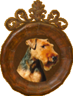 Seaplume Welsh Terriers